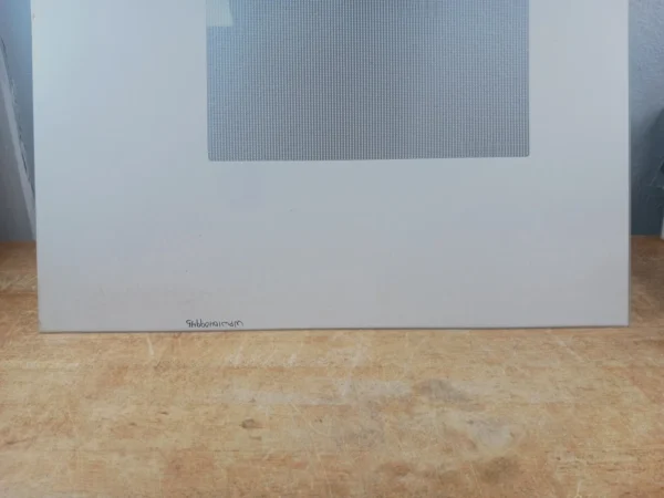 Vidrio para puerta exterior Whirlpool Range Wpw10409945