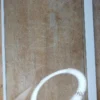 Estante congelador refrigerador Whirlpool W10809783 25 1/4 X 14 pulgadas-