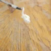 Sonda de temperatura de bañera de hidromasaje 8273902-