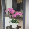 Faux Pink Orchid Indoor Plant Glazed White Terracotta Pot