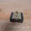 GE Dryer Selector Switch ASR5379 (Money Back Guarantee)