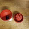 Tupperware Handy Spiralizer (Money Back Guarantee)